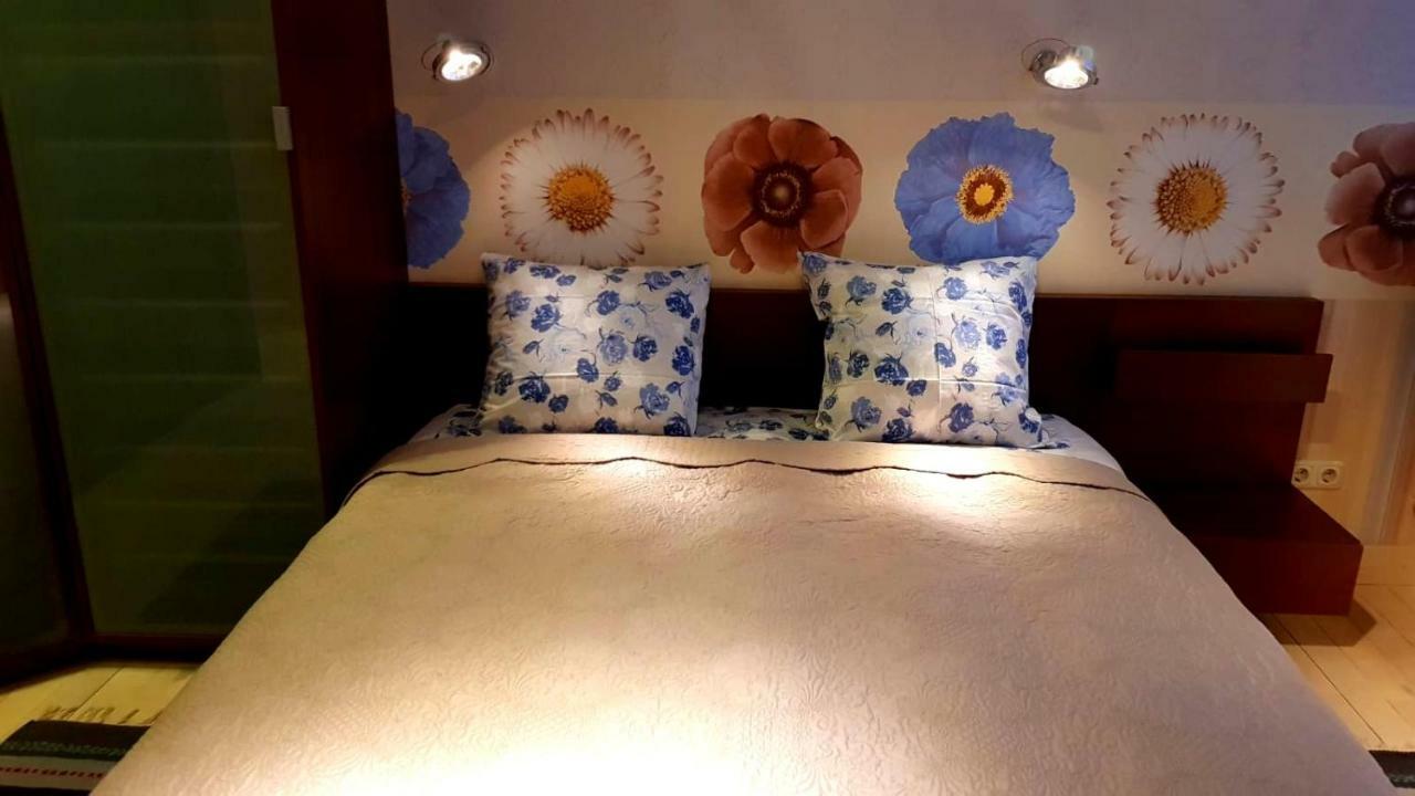 Apartament Fuksija House Dyneburg Zewnętrze zdjęcie